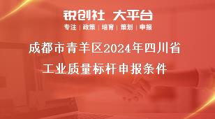 成都市青羊區(qū)2024年四川省工業(yè)質量標桿申報條件獎補政策