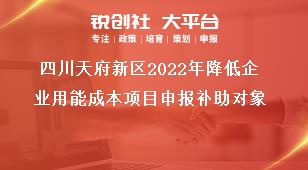 四川天府新區2022年降低企業用能成本項目申報補助對象獎補政策