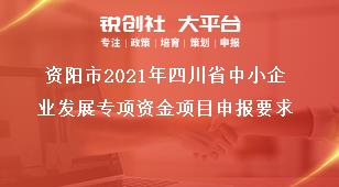 資陽(yáng)市2021年四川省中小企業(yè)發(fā)展專項(xiàng)資金項(xiàng)目申報(bào)要求獎(jiǎng)補(bǔ)政策